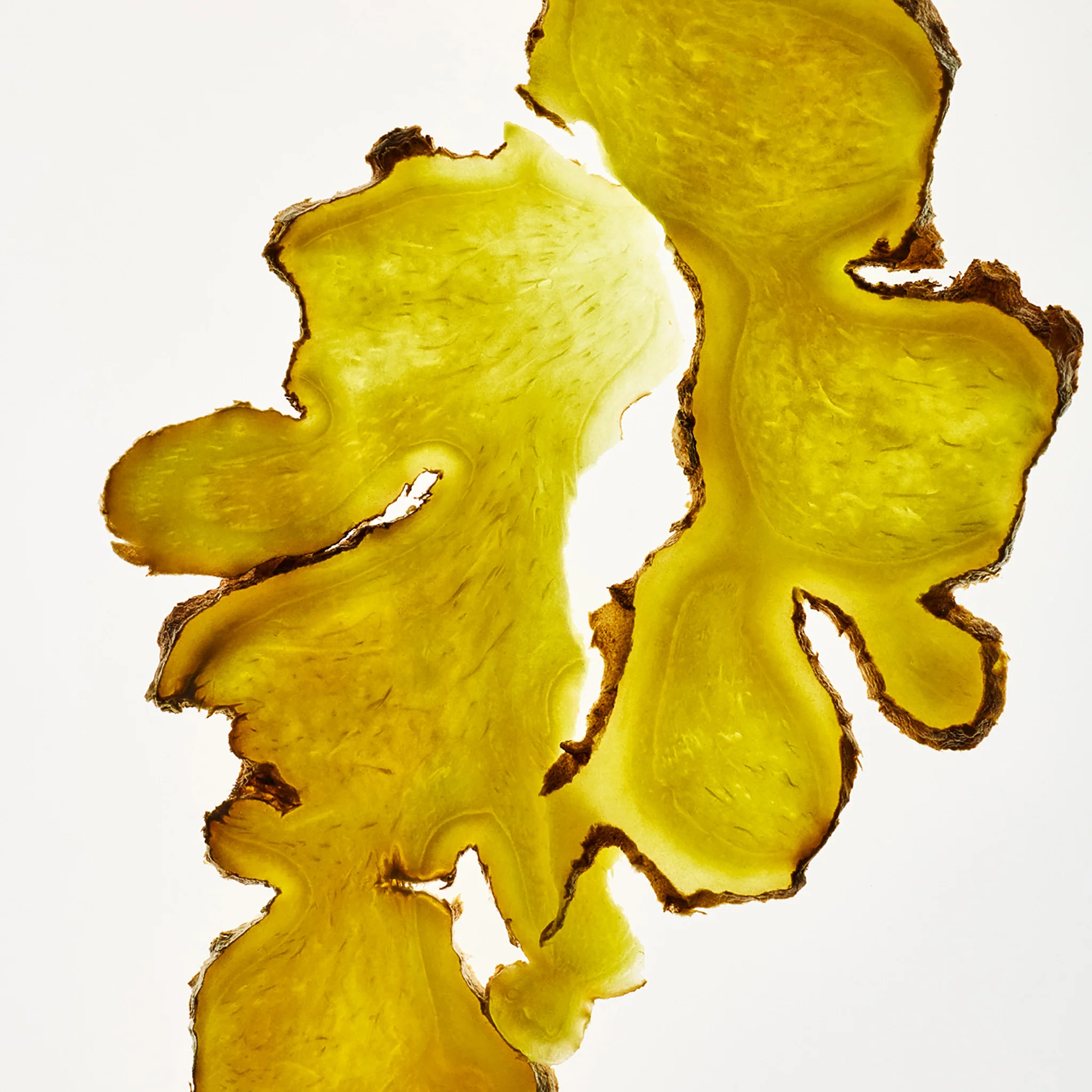 Ginger Scalp Serum - Image 3